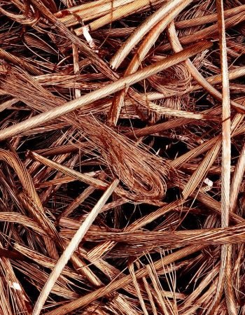 WhatsApp Image 2025-08-28 at 6.40.13 PM