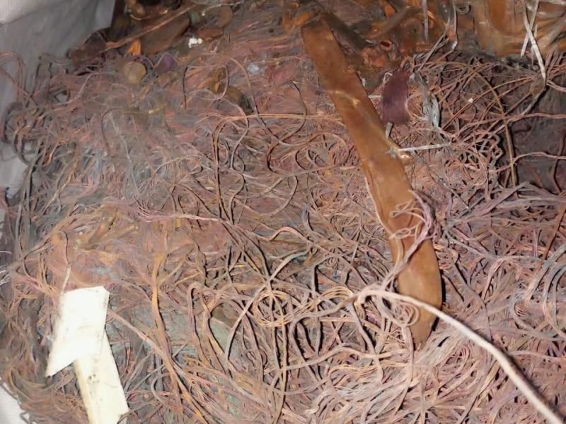 WhatsApp Image 2025-08-28 at 6.40.14 PM (13)