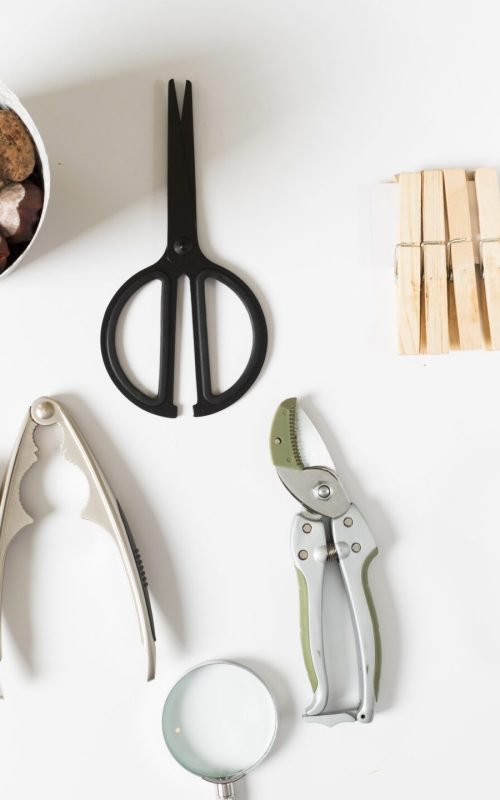 walnuts-with-kitchen-utensils-table